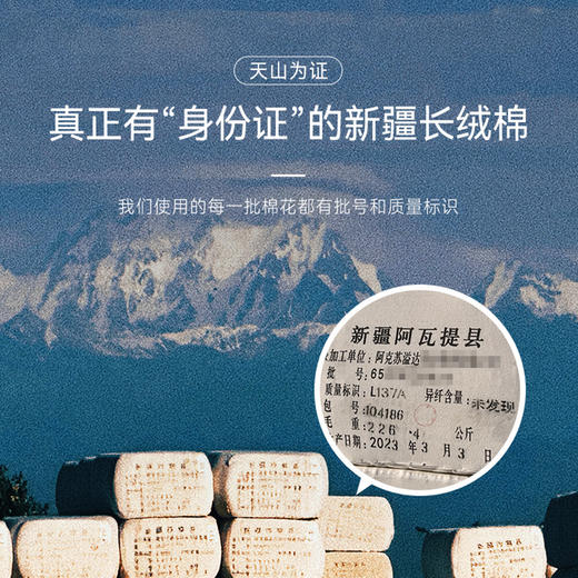 十如仕低圆领吸湿速干薄款衬衫打底短袖T恤-T09-01 商品图7