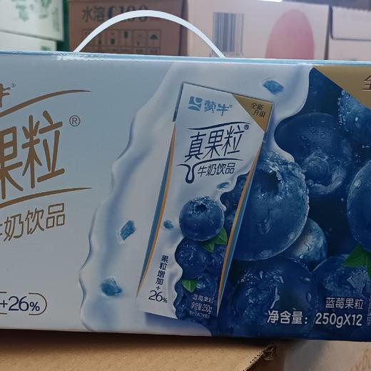 【批发】蒙牛真果粒蓝莓果粒250*12 商品图0