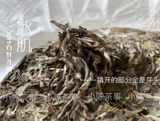 【村姑陈重磅推荐】2019高山白牡丹饼《冰肌》，准牡丹王外形，白牡丹的价格！ 商品图9