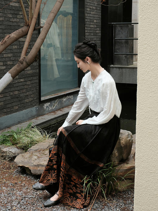 盛唐婧 |真丝香云纱重缎马面裙-黑色 商品图5