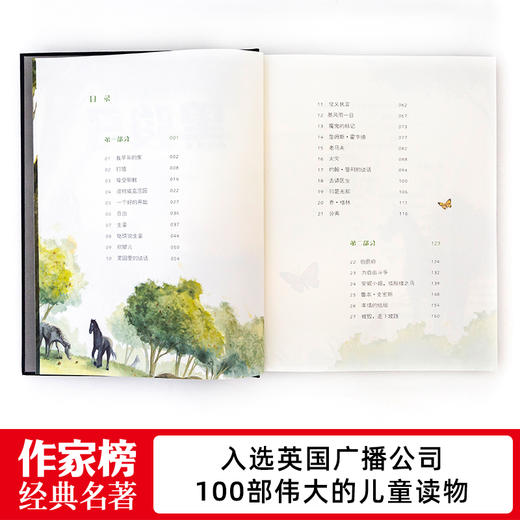 黑骏马，新增译后记、98幅原创插图！全新未删节插图版！ 商品图2
