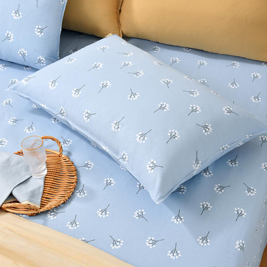 飞舞蒲公英系列床单枕套床单纯棉100全棉防滑夏季双人定制 商品图3