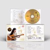 官方正版 梅小琴 第二张专辑 共鸣2 风云 CD HQ2 DSD 24K金碟 商品缩略图2