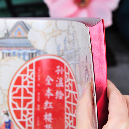 《清·孙温绘全本红楼梦》， 绝美、易懂、易记忆，适合家长和孩子“亲子共读”【G】 商品图3