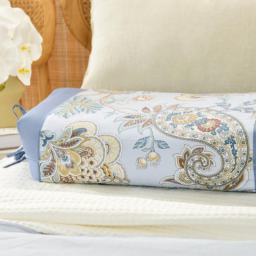 经典手绘系列调节枕纯荞麦壳枕头可调节高度护颈枕 商品图0