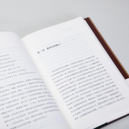 【特价】维米尔的帽子:17世纪和全球化世界的黎明（加）卜正民 著 商品图4