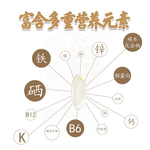 【善粮汇】有机弱碱胚芽米能发芽 东北黑土地 商品图3