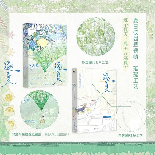 【磨铁】逐夏  木瓜黄著 商品图2