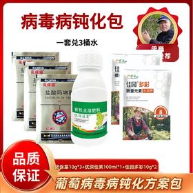 病毒病钝化包   诺保露+佳果+佳园多彩     3壶水