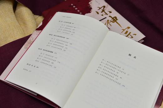 时刻人文·宋神宗：未竟的变法（深入剖析宋神宗的政治智慧与人格魅力，一窥北宋中期历史风云变幻，领略一代雄主的非凡人生！） 商品图6