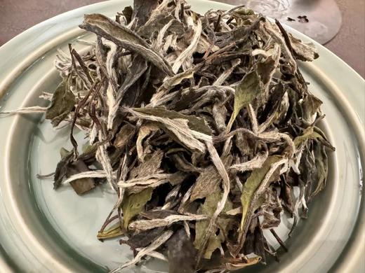 十年陈   老牡丹   毫香蜜韵  50克起 （2014年） 商品图2