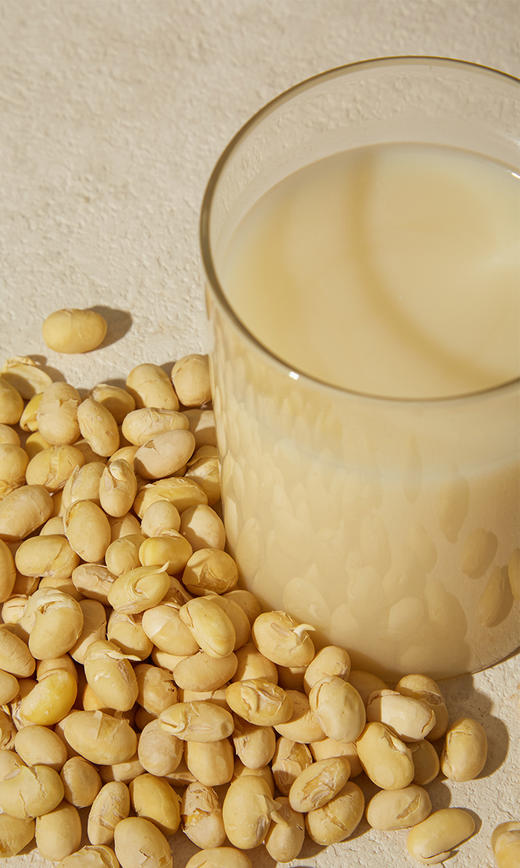 纯冻干发芽黄豆粉 商品图2