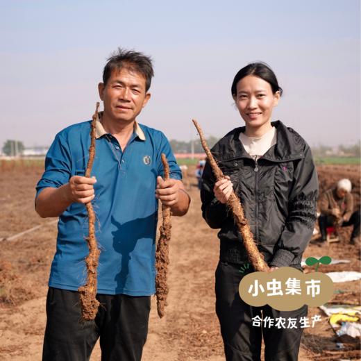 温县生态铁棍山药 3斤/5斤 | 合作农友生产，产自河南焦作温县，生产者：崔永利、崔利兵、崔娜娜 *【公平贸易农人定价】 商品图10