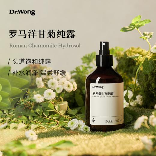 罗马洋甘菊纯露 商品图0