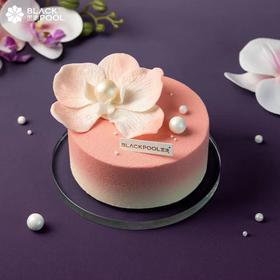 【幽兰·温柔粉】芭乐柚子香草芝士慕斯 | 黑池