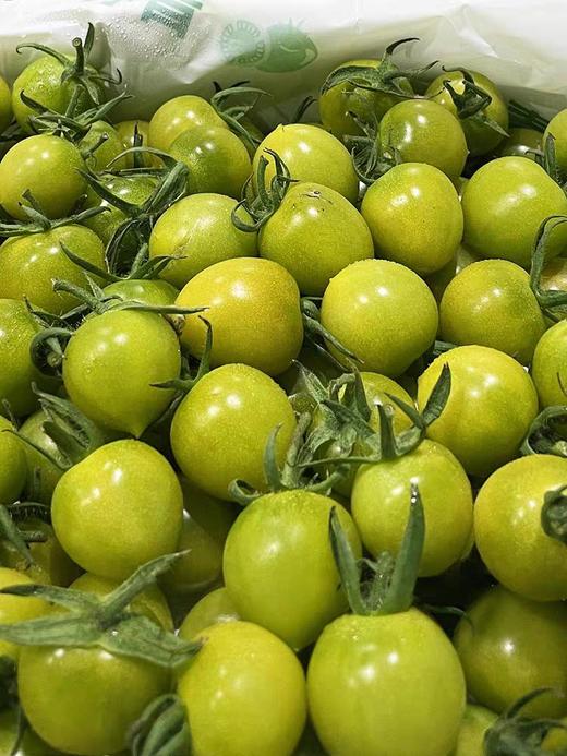 青霞小番茄 商品图3