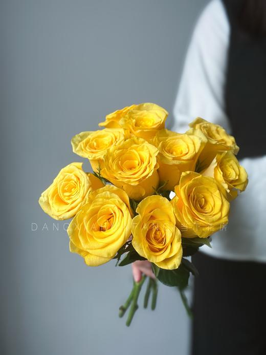 【AB级契机玫瑰.第二件减10元】10支/份 长约60cm 商品图4