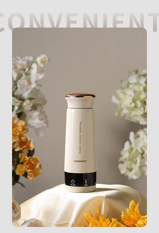 大宇便携电热水杯 商品图4