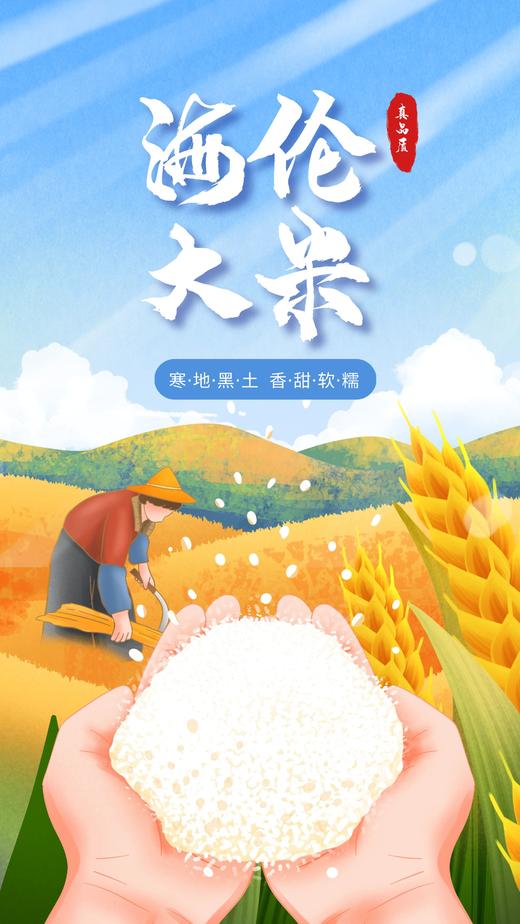 海伦海京秋稻夫大米-笨磨稻香米5kg 商品图3