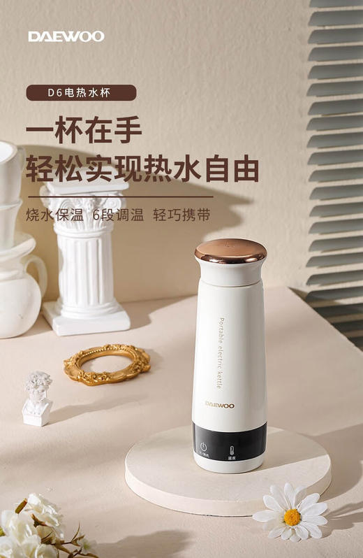 大宇便携电热水杯 商品图0