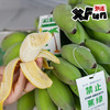 【打工人必备 摸鱼搭子】禁止蕉绿  水培苹果蕉 商品缩略图1
