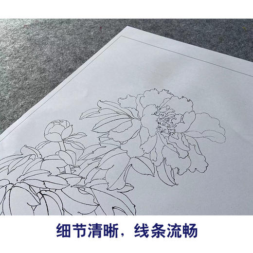 王后波工笔画白描底稿《素影》临摹勾线高清打印稿YL33 商品图4
