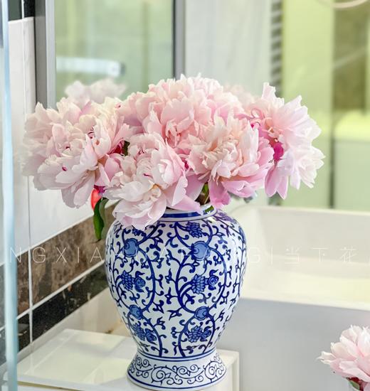 【AB级粉凌红花重瓣芍药】10支/份 商品图3