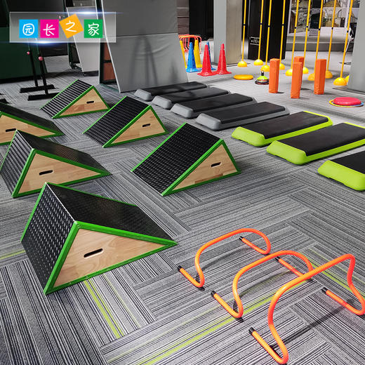 儿童体智能训练器材全套跑酷 商品图2