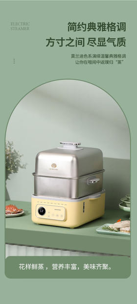 大宇多功能电蒸锅DYZG-1568
