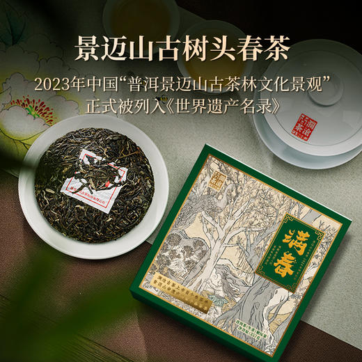 澜沧古茶2024年回家纪念茶满春景迈山古树头春生茶357g 商品图1