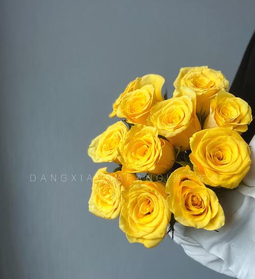 【AB级契机玫瑰.第二件减10元】10支/份 长约60cm 商品图2