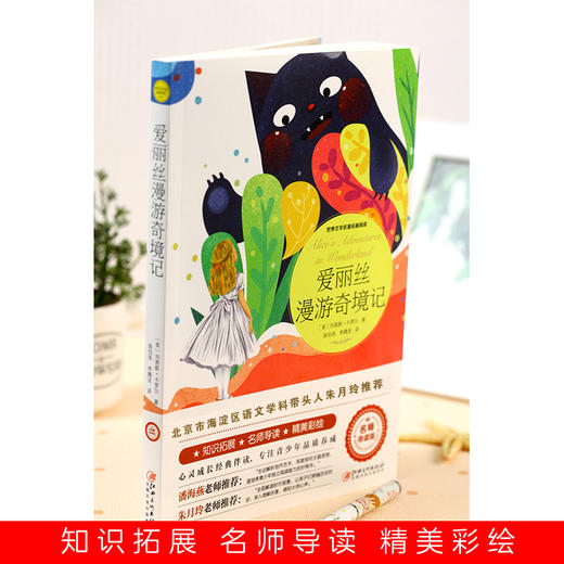 爱丽丝漫游奇境记 商品图3