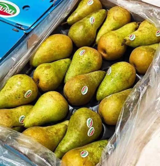 (放软食用) 比利时啤梨~放软以后，梨肉绵软细腻，入口逐渐融化，极易化渣，汁水清润、甜而不腻！宝宝最棒辅食，核小到几乎无核哦！ 商品图7