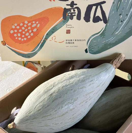 新鲜水果-软糯香甜星贵族南瓜7.5-8.5斤【SP】 商品图1