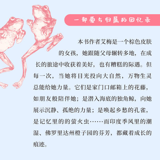 六角恐龙的微笑 商品图4