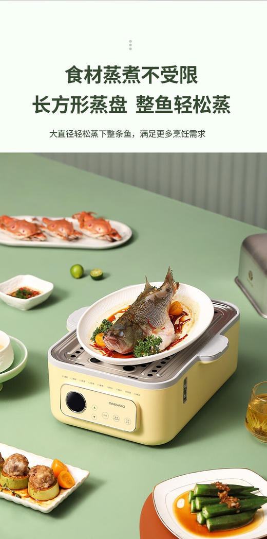 大宇多功能电蒸锅DYZG-1568
 商品图7