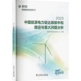 中国能源电力碳达峰碳中和路径与重大问题分析 2023