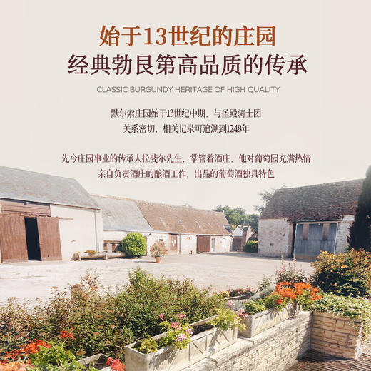 【法国进口 勃艮第法定AOC】法国默尔索庄园十字勋章黑皮诺干红葡萄酒 12.5%vol 商品图4