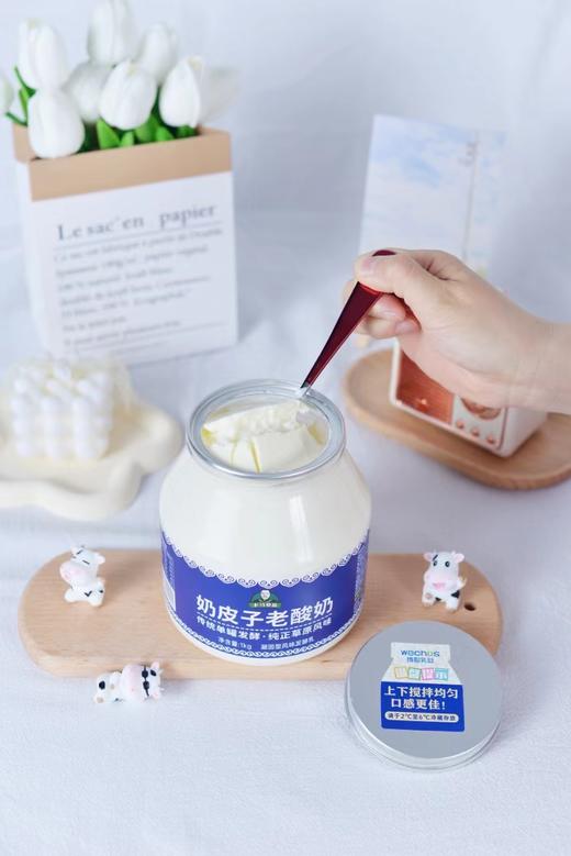 【老马在草原专属】维聪乳业 蒙古奶皮子老酸奶1kg*2桶装 商品图3