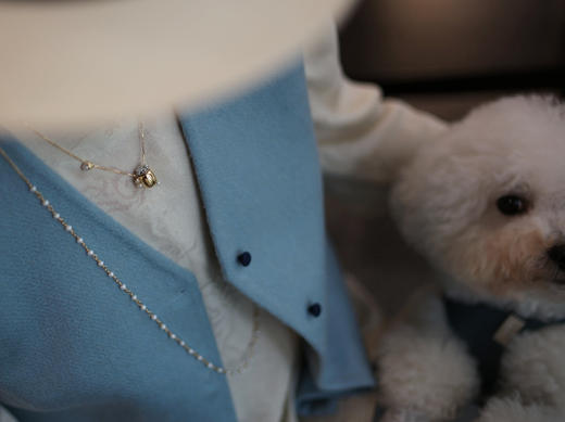 金饭桶项链 商品图4