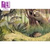 【中商原版】近视的豪猪 Maribel Lechuga Penny Lu Porcupine 英文原版 儿童绘本 动物故事图画书 精装精品绘本 进口图书 商品缩略图1
