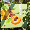 『大凉山脱骨小蜜杏』金黄柔糯，甘醇蜜味，奢华馥郁 商品缩略图4