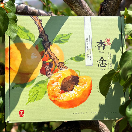 『大凉山脱骨小蜜杏』金黄柔糯，甘醇蜜味，奢华馥郁 商品图4