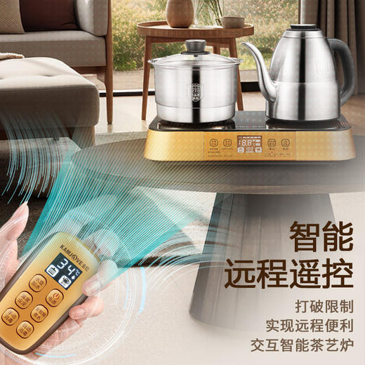金灶（KAMJOVE） EC-8智能烧水壶316不锈钢茶艺炉旗舰系列全自动涌泉上水电热水壶遥控 1.2L 商品图1