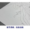 周中耀工笔画白描底稿昙花《影逐情浓》小品临摹勾线高清打印稿ZT17 商品缩略图4