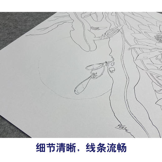 周中耀工笔画白描底稿昙花《影逐情浓》小品临摹勾线高清打印稿ZT17 商品图4