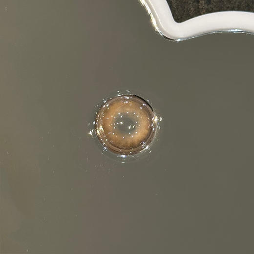 Begel Pig 金锡兰 半年抛 两片 14.2mm 参考着色 13.5mm 基弧 8.6 含水 38% 新锐国货 商品图4