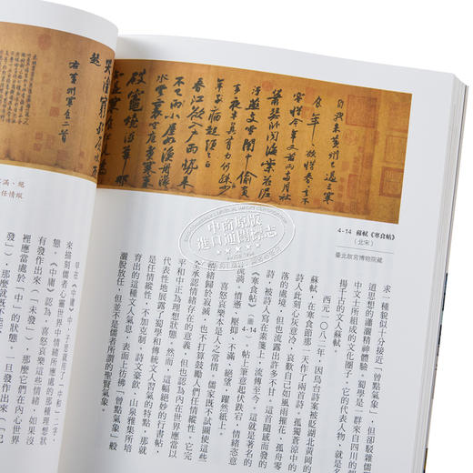 【中商原版】观念的形状 72件文物 看得见的中国哲学 港台原版 张曦 漫游者文化 商品图3