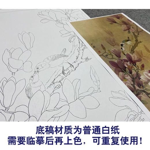 周中耀工笔画白描底稿兰花《红玉兰》临摹勾线高清打印稿ZT08 商品图3