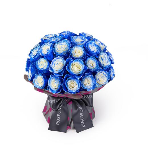 【预售14天发货】【520情人节鲜花礼物】ROSEONLY手捧玫瑰19枝25枝33枝送女友 商品图1